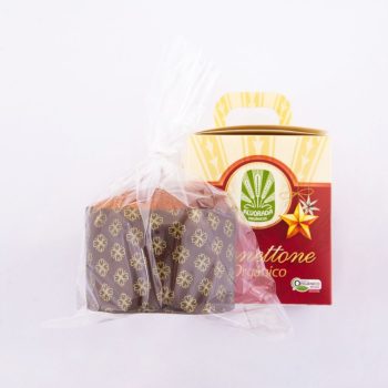 Panettone Orgânico Alvorada 470g