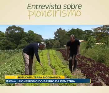 Reportagem SBT 31/12 – Pioneirismo do bairro Demétria